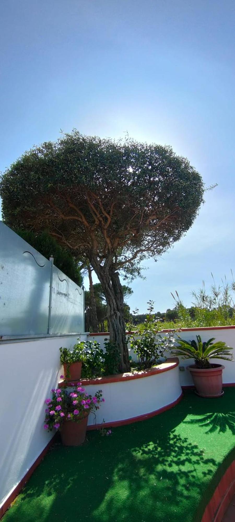 Hotel B&B Marina Capaccio Dış mekan fotoğraf