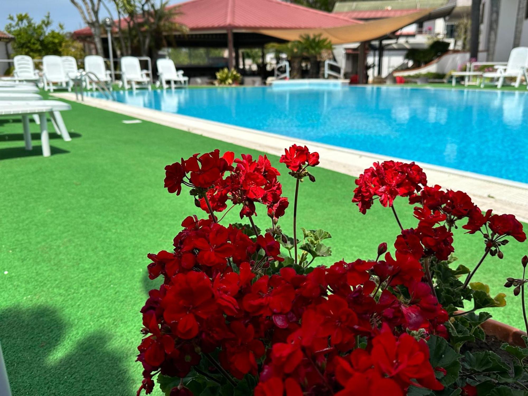 Hotel B&B Marina Capaccio Dış mekan fotoğraf