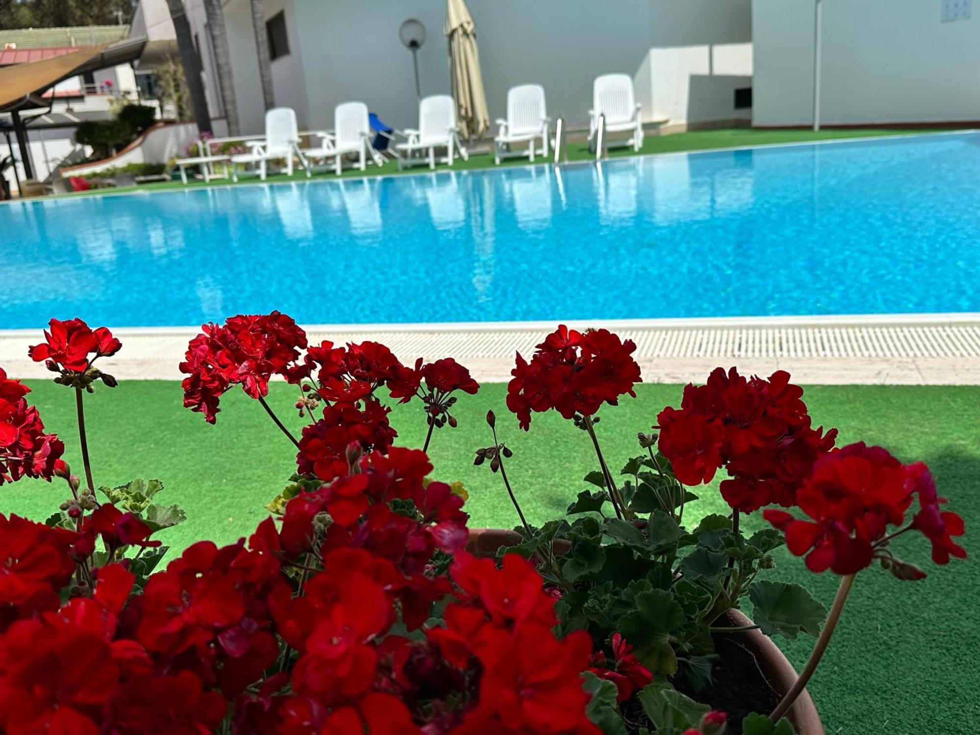 Hotel B&B Marina Capaccio Dış mekan fotoğraf