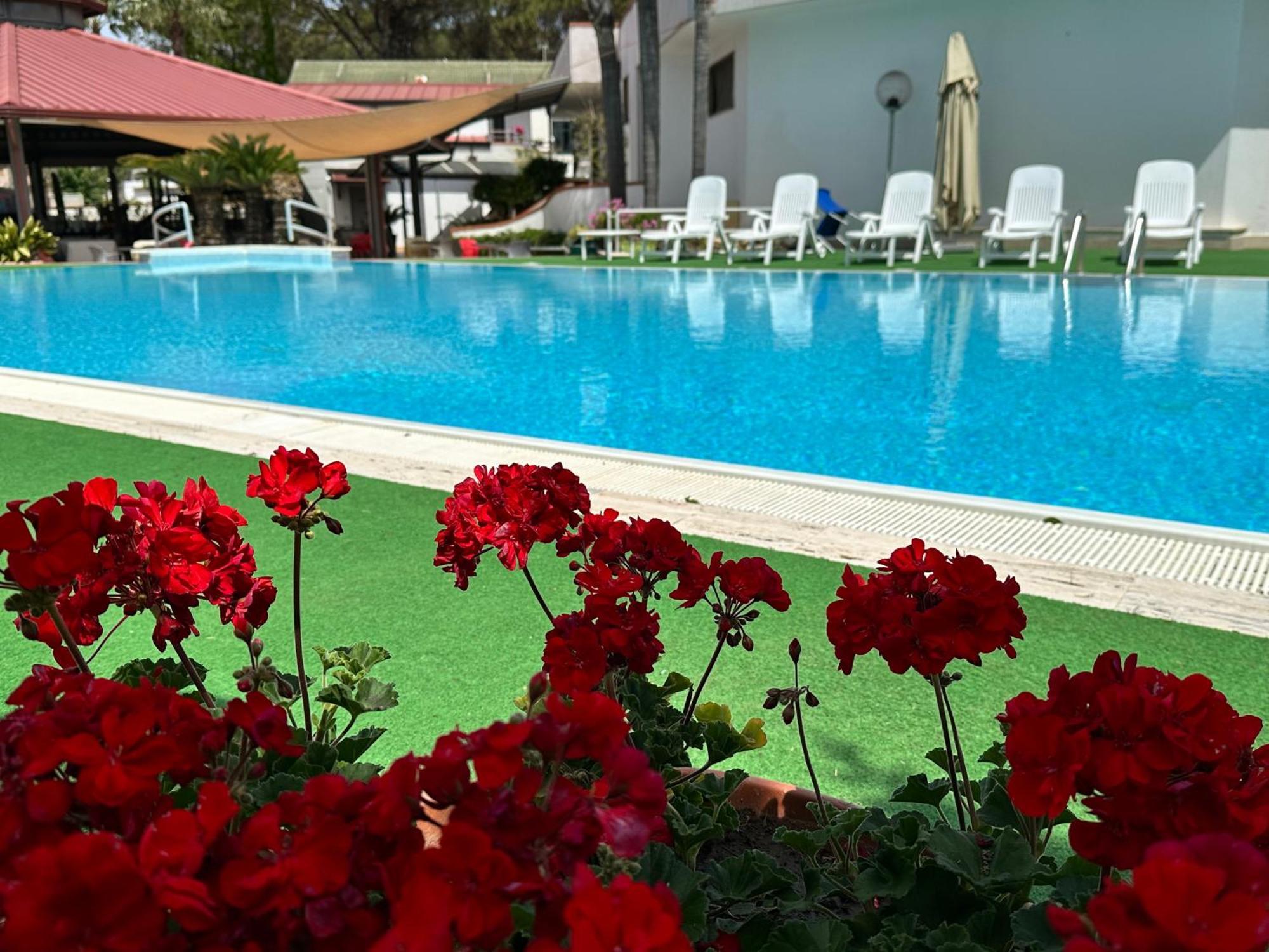 Hotel B&B Marina Capaccio Dış mekan fotoğraf