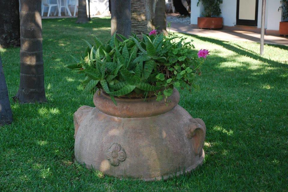 Hotel B&B Marina Capaccio Dış mekan fotoğraf